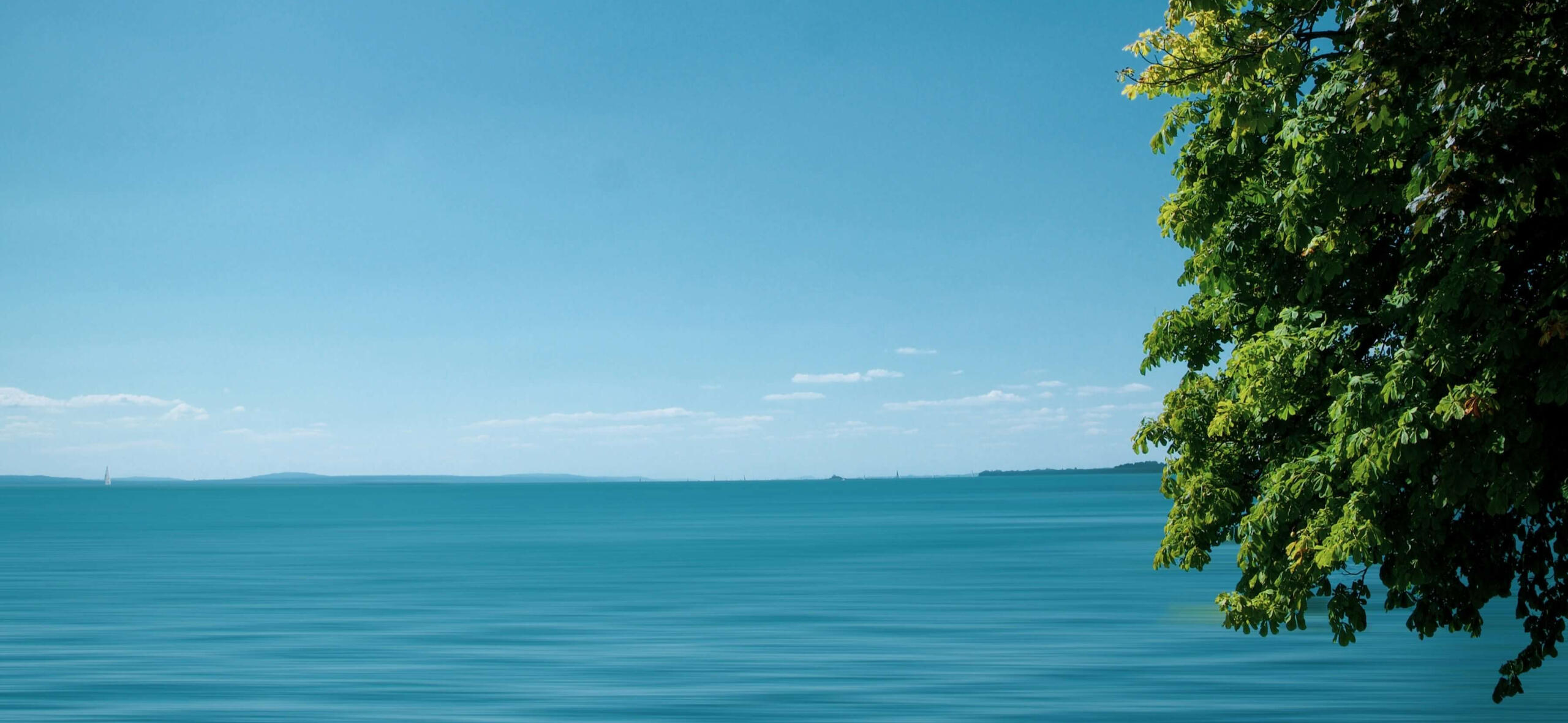 Werbegrafik der Vukovic GbR, Ihrem Bauprojekte-Experten in Tettnang. Zeigt Dienstleistungen in den Bereichen Trockenbau, Neubau sowie Sanierung und Renovierung, mit Beispielen von Baustellen und fertiggestellten Projekten in Tettnang, Friedrichshafen und M